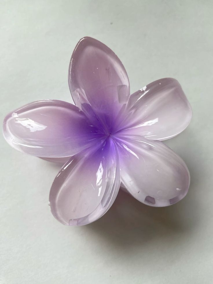 🌸 Colorful Plumeria Hair Clips