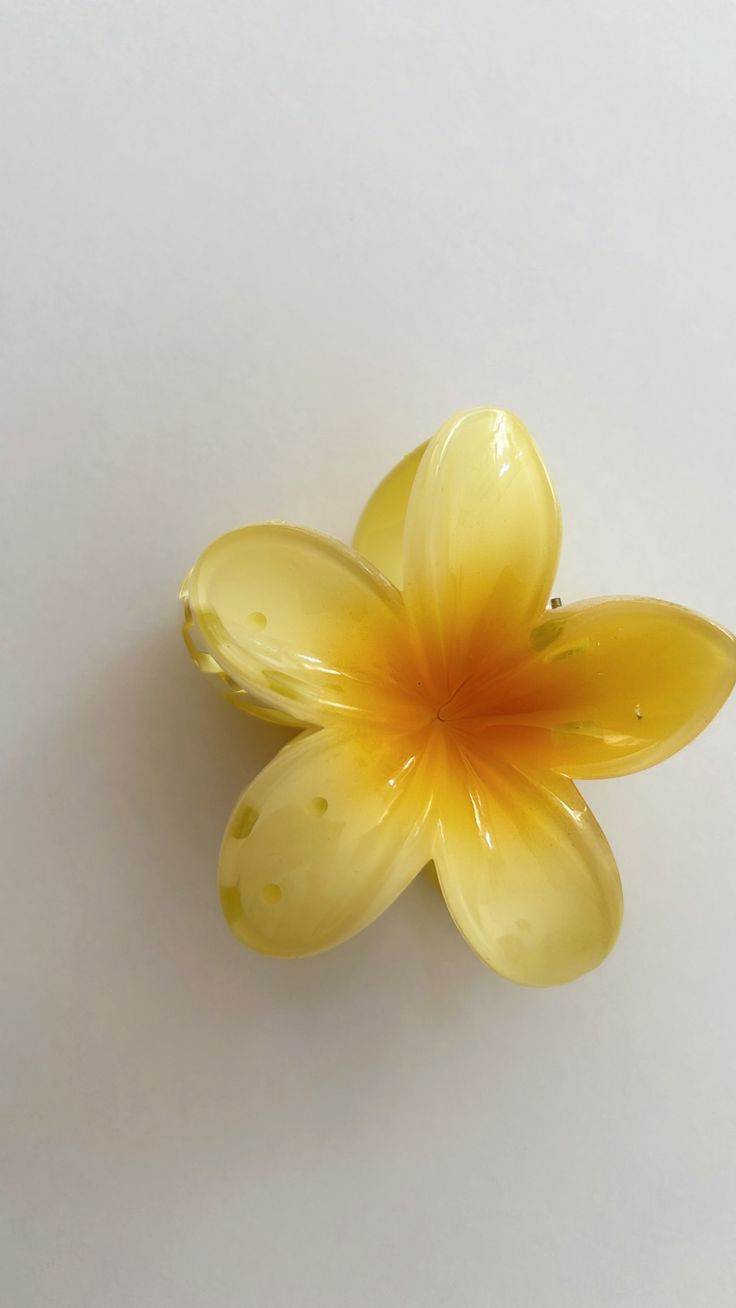 🌸 Colorful Plumeria Hair Clips