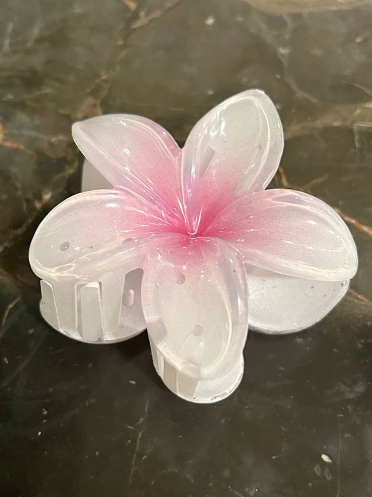 🌸 Colorful Plumeria Hair Clips