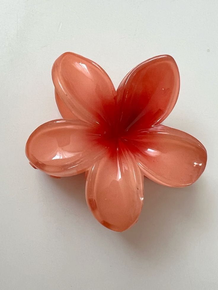 🌸 Colorful Plumeria Hair Clips